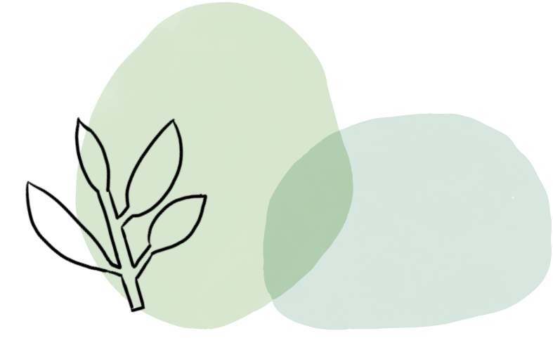 8bdfa50f8b67a37a2c71836ae5719f83.png